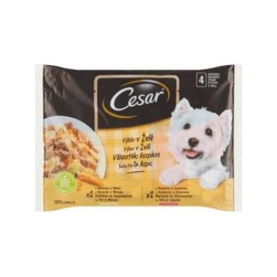 Cesar Selection v želé 4 x 400 g