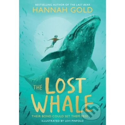 Lost Whale