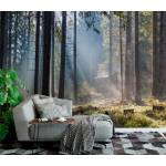 Art Gift Decor Фототапет Горска къщичка