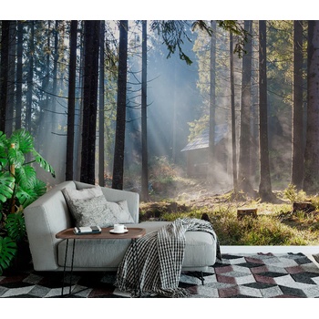 Image 1 of Art Gift Decor Фототапет Горска къщичка