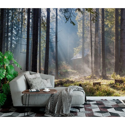 Art Gift Decor Фототапет Горска къщичка