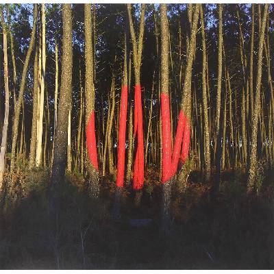 FRANCOIS & THE ATLAS MOUN: PIANO OMBRE CD