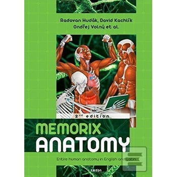 Memorix anatomy