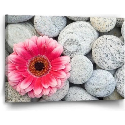 Sablio Obraz Gerbera na kameňoch - 60x40 cm