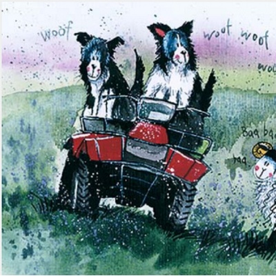 Přání s obálkou - Quad Squad Collie - Alex Clark