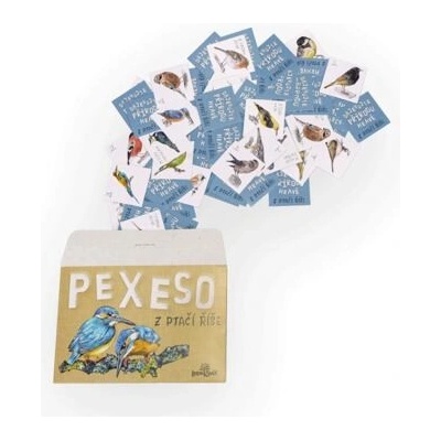 Papírové pexeso Lesní svět barva Z ptačí říše