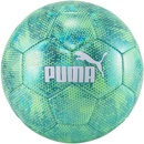 Puma CUP