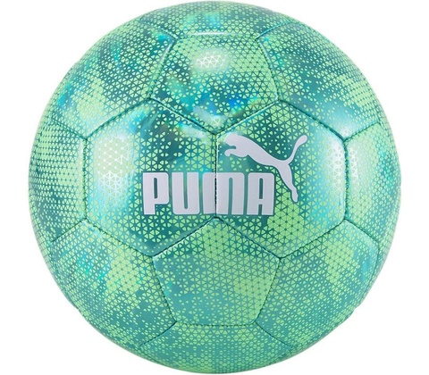 Puma CUP