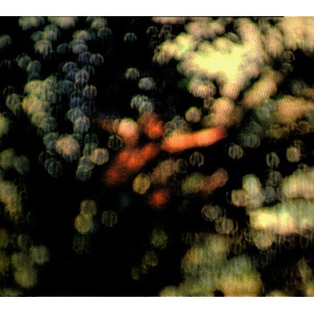 Pink Floyd - Obscured By Clouds (CD) (0888751709027)