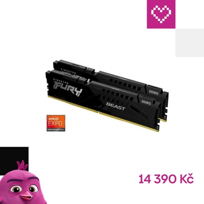 Kingston Fury Beast EXPO DDR5 32GB 6000MHz CL30 (2x16GB) KF560C30BBEK2-32 – Zboží Živě