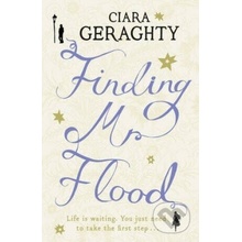 Finding Mr. Flood - Ciara Geraghty