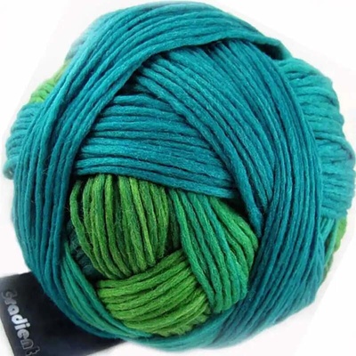 Schoppel Wolle Gradient 1878 In der Wiese