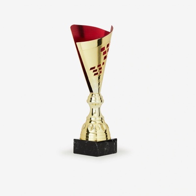BIEMANS Trofej T537 35 cm