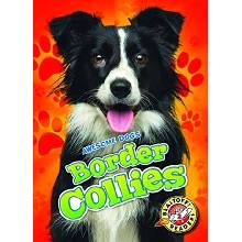 Border Collies Sabelko RebeccaLibrary Binding