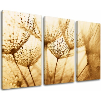 Obraz na stenu KVETY - 90x60 cm
