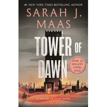 Tower of Dawn