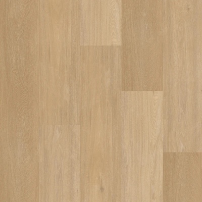 Therdex Chevron 12041 3,345 m²