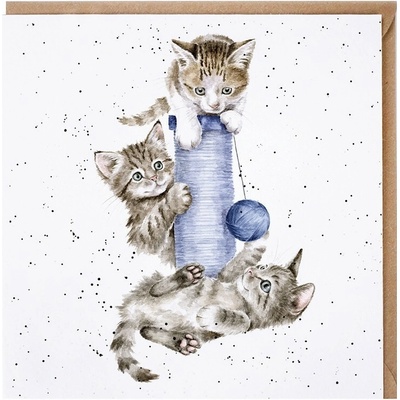 Přání Wrendale Designs "Three's a Crowd", 15x15 cm - Kočky