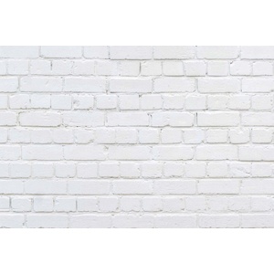 DIMEX ART Флизелинов фототапет бял тухлен фон 375 x 250 см
