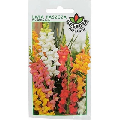 Papuľka vysoká: Antirrhinum Majus 0,5 g
