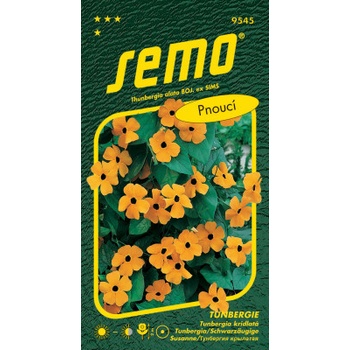 Semo Čiernooká Zuzana (Tunbergie) - oranžová s okom popínavá 1g