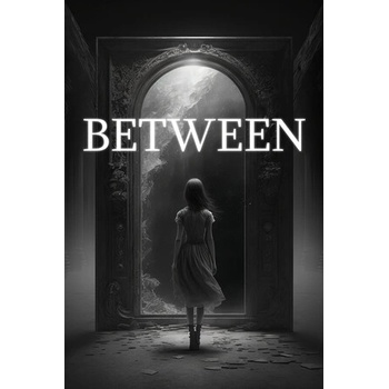 Artesign Between (PC)