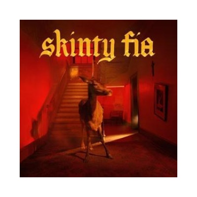 FONTAINES DC - SKINTY FIA CD