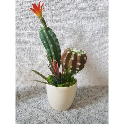 Mix sukulentov 25cm