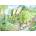 Ravensburger - Puzzle Walking World No. 2 - Dovedale, Great Britain - 1 000 piese