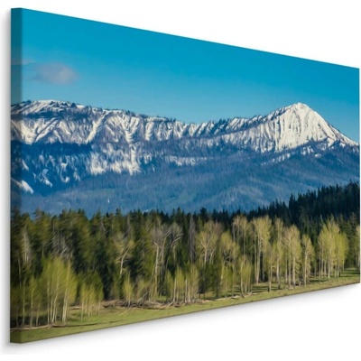 Plátno Národní Park Grand Teton V Usa Varianta: 70x50