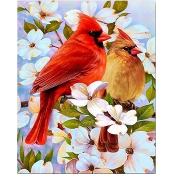 Norimpex - Puzzle Diamant painting: Birds on a branch 30x40cm - 1 - 39 piese