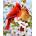 Norimpex - Puzzle Diamant painting: Birds on a branch 30x40cm - 1 - 39 piese