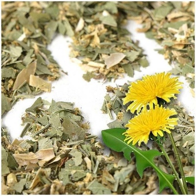 Herbarium Revma a dna bylinný čaj 100 g