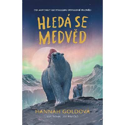 Hledá se medvěd