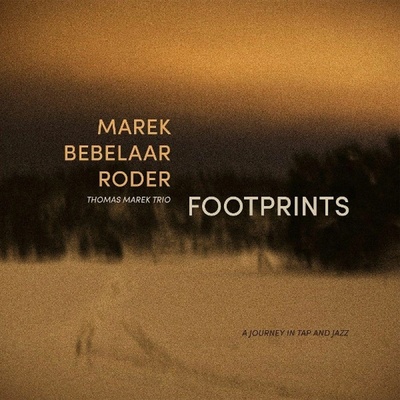 Thomas Marek Trio - FOOTPRINTS Vinyl