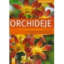 Orchideje