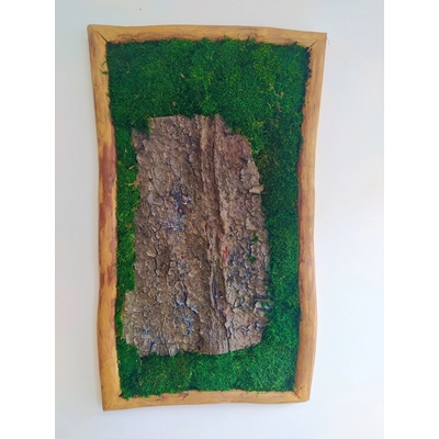Machový obraz v drevenom masívnom ráme 80cm x 55cm