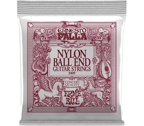 ERNIE BALL 2409