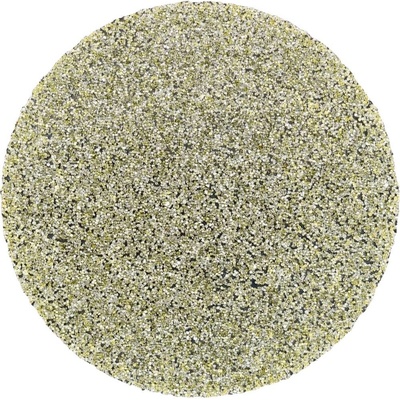 PFERD TOOLS CD DIA 38 D 251 - P 60 42740004 brúsny list Zrnitosť 251 (Ø) 38 mm 10 ks