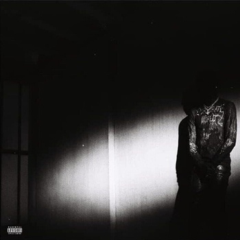 Destroy Lonely - No Stylist (LP) (0602448609007)