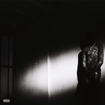 Destroy Lonely - No Stylist (LP) (0602448609007)