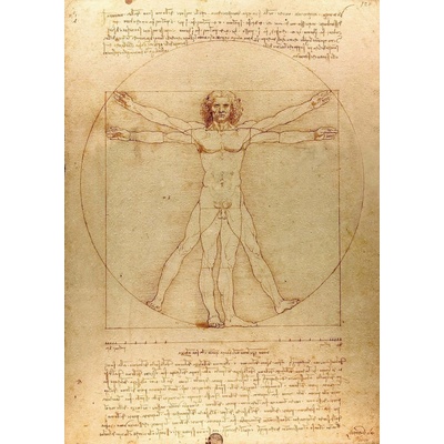 Enjoy Leoardo da Vinci: Vitruviánský muž 1000 dílků