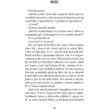 Údolí - Bernard Minier