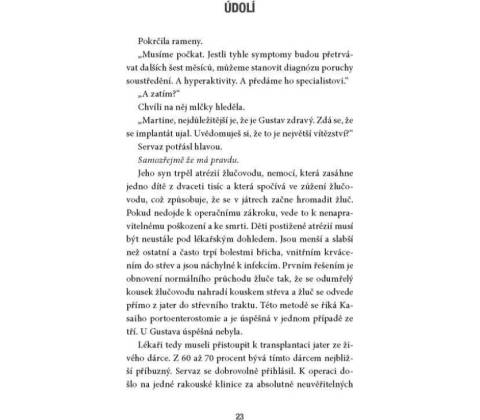Údolí - Bernard Minier