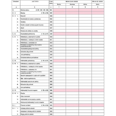 Optys 1065 Rozvaha v plném rozsahu A4