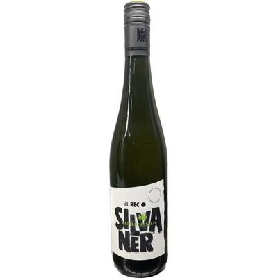 Weingut Am Stein Sylvánské zelené bílé 2021 11,5% 0,75 l (holá láhev)