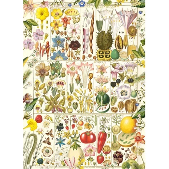 Gibsons - Puzzle Botanical Bliss - 1 000 piese