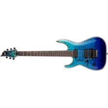 ESP-LTD H1001