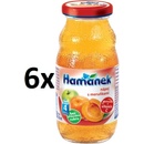 Hamánek S marhuľami nápoj 210 ml