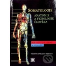 Somatologie